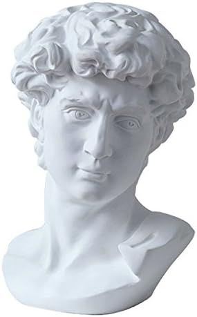 LKXHarleya 6 Inch Classic Greek Michelangelo David Bust Statue Replica Sculpture Figurine for Artist | Amazon (US)