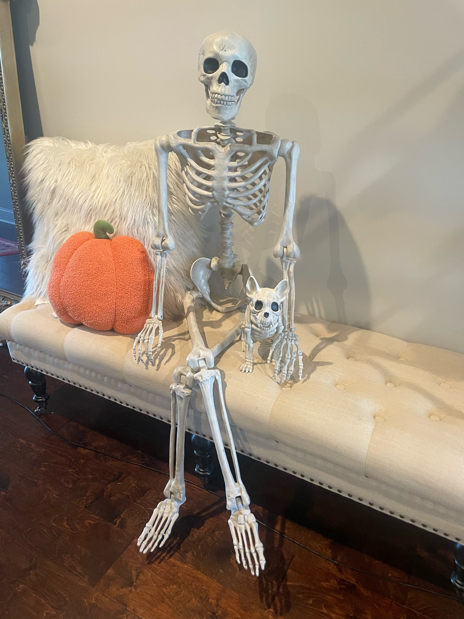 Possible Skeletons are my jam this season!!! 

#LTKStyleTip #LTKHome #LTKFindsUnder50