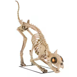 Home Accents Holiday 5 ft. Long Grave & Bones LED Skelly's Cat H21 25SV25093 - The Home Depot | The Home Depot