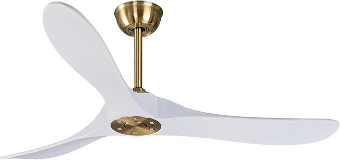 Bigzone 52" Outdoor/Indoor Ceiling Fan With Remote Control, DC Motor Quiet Energy Saving,3 White ... | Amazon (US)