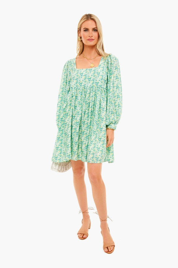 Sage Multi Mini Dress | Tuckernuck (US)