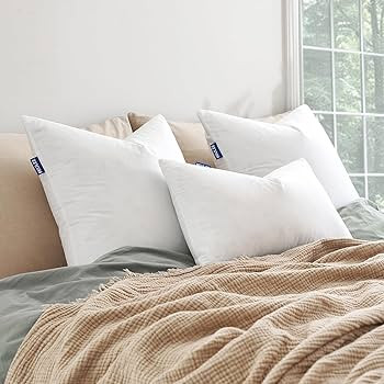 MIULEE 22x22 Pillow Inserts,Set of 2 Down Feather Throw Pillows for Couch Sofa Bed, Decorative Fl... | Amazon (US)