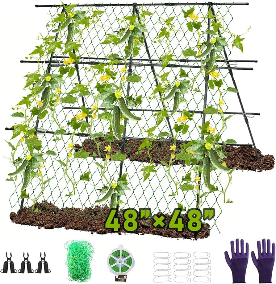 Visit the Antizz Store | Amazon (US)