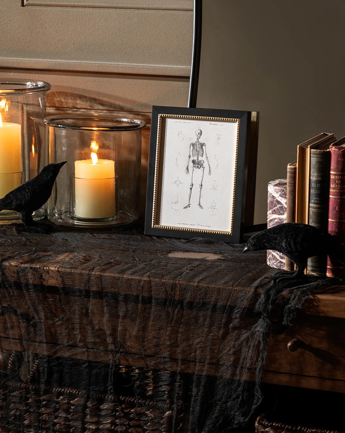 Skeleton Anatomy | McGee & Co. (US)