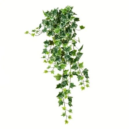 Artificial Varigated Ivy Hanging Bush | Wayfair North America