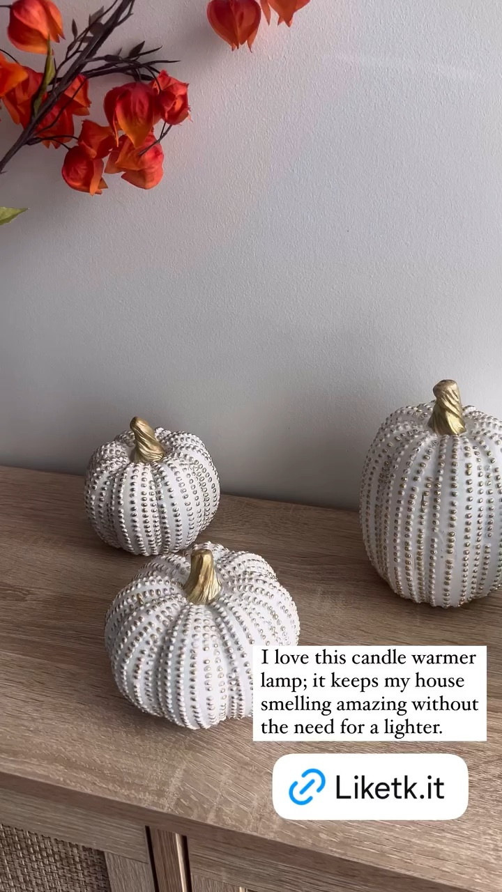 I love this candle warmer lamp; it keeps my house smelling amazing without the need for a lighter.