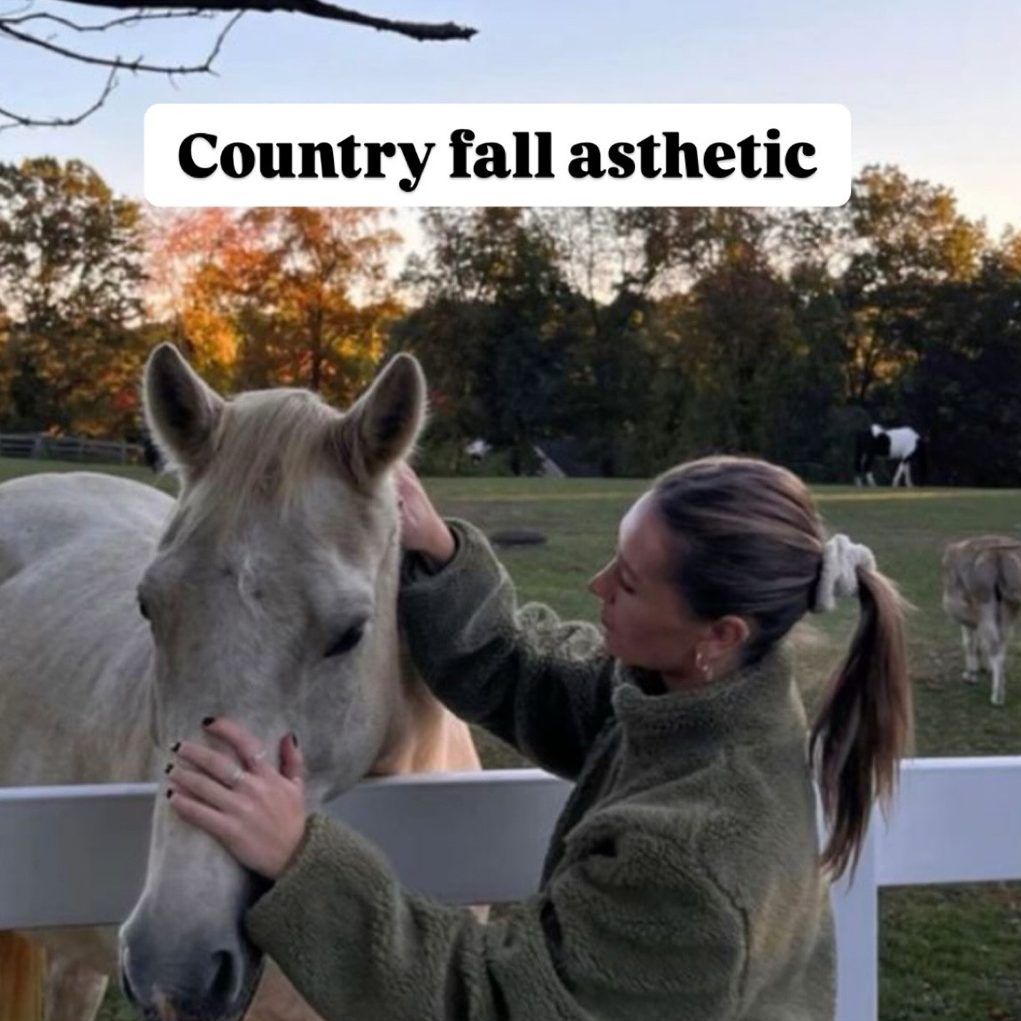 #LTKSeasonal #LTKStyleTip #LTKHoliday