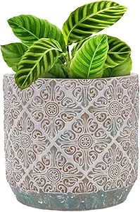 INSPIRELLA Timeless Plant Pots – 7.1" Stunningly Detailed Ceramic Pots for Plants, Hand Glazed ... | Amazon (US)