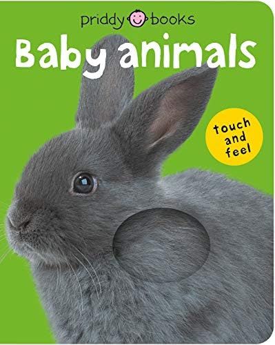 Bright Baby Touch & Feel Baby Animals (Bright Baby Touch and Feel) | Amazon (US)