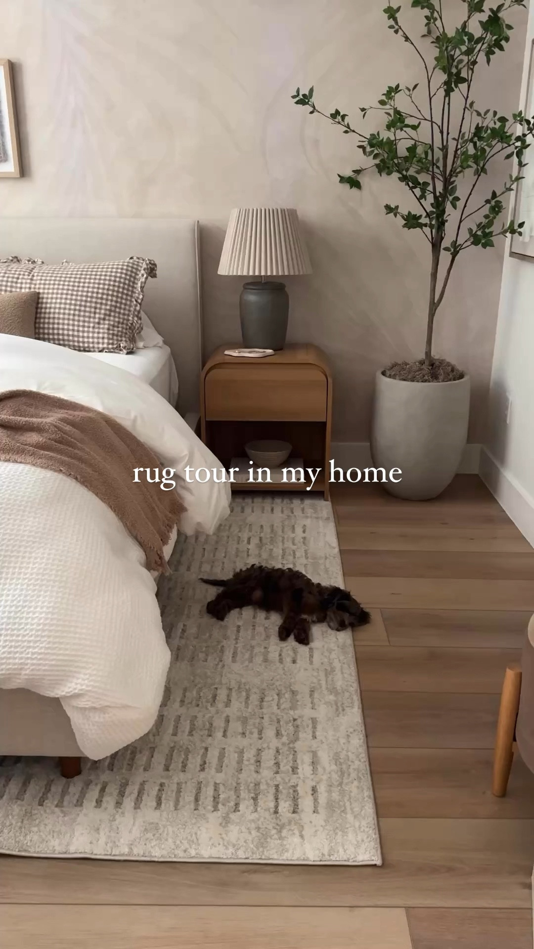 Rugs I have or had in my home! Great deals on all! 

Neutral home, home decor, area rugs 

#LTKSaleAlert #LTKHome #LTKCyberWeek