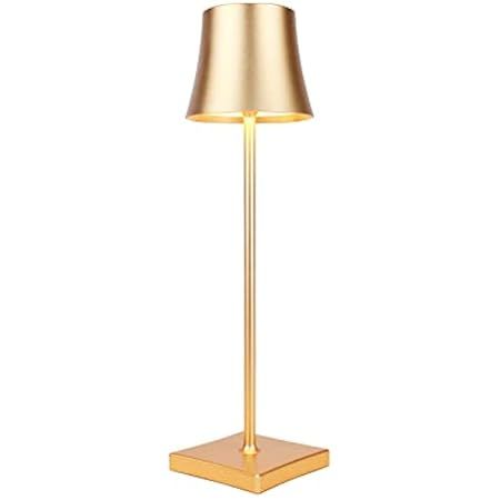 Modern LED CordlessTable Lamp,Rechargeable Battery Desk lamp,3 Level Brightness Night Light, Metal S | Amazon (US)