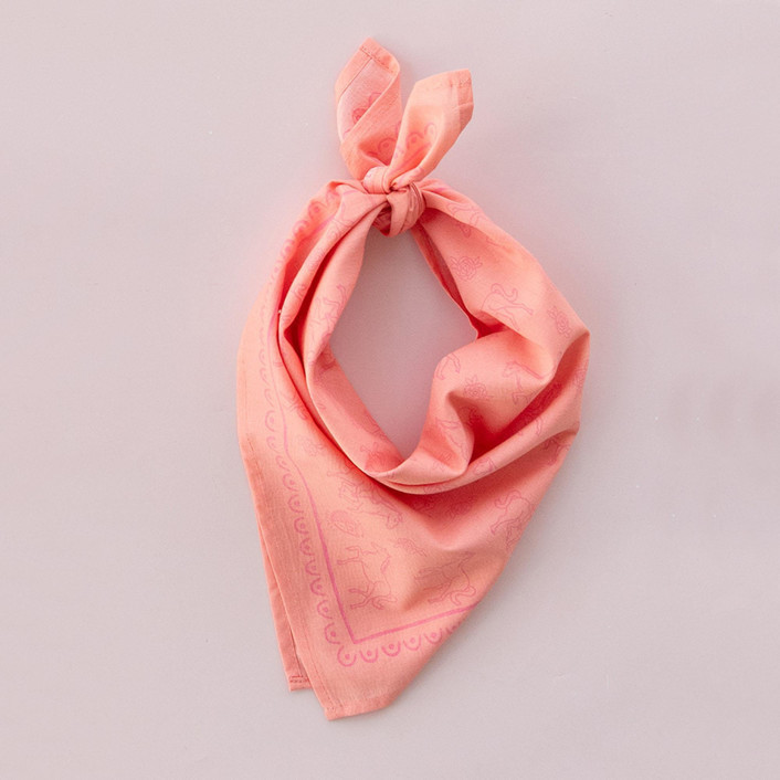 Pony Tales ""Horse"" Bandana Party Favors | Minted