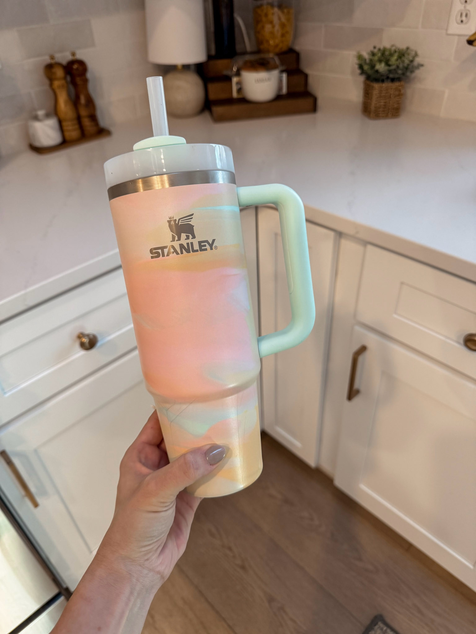 The cutest Stanley I’ve ever seen! Added to cart so fast 👏🏼 favorite water bottle Stanley quencher 30oz fav

#LTKfitness #LTKMostLoved #LTKfindsunder50