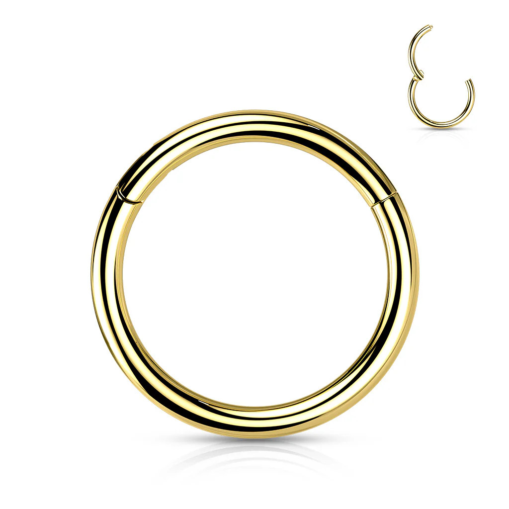 Titanium Gold PVD Hinged Clicker Hoop (ears/nose) | Pierced by Ash Design