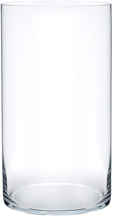 Royal Imports Flower Glass Vase Decorative Centerpiece for Home or Wedding - Cylinder Shape, 12" ... | Amazon (US)