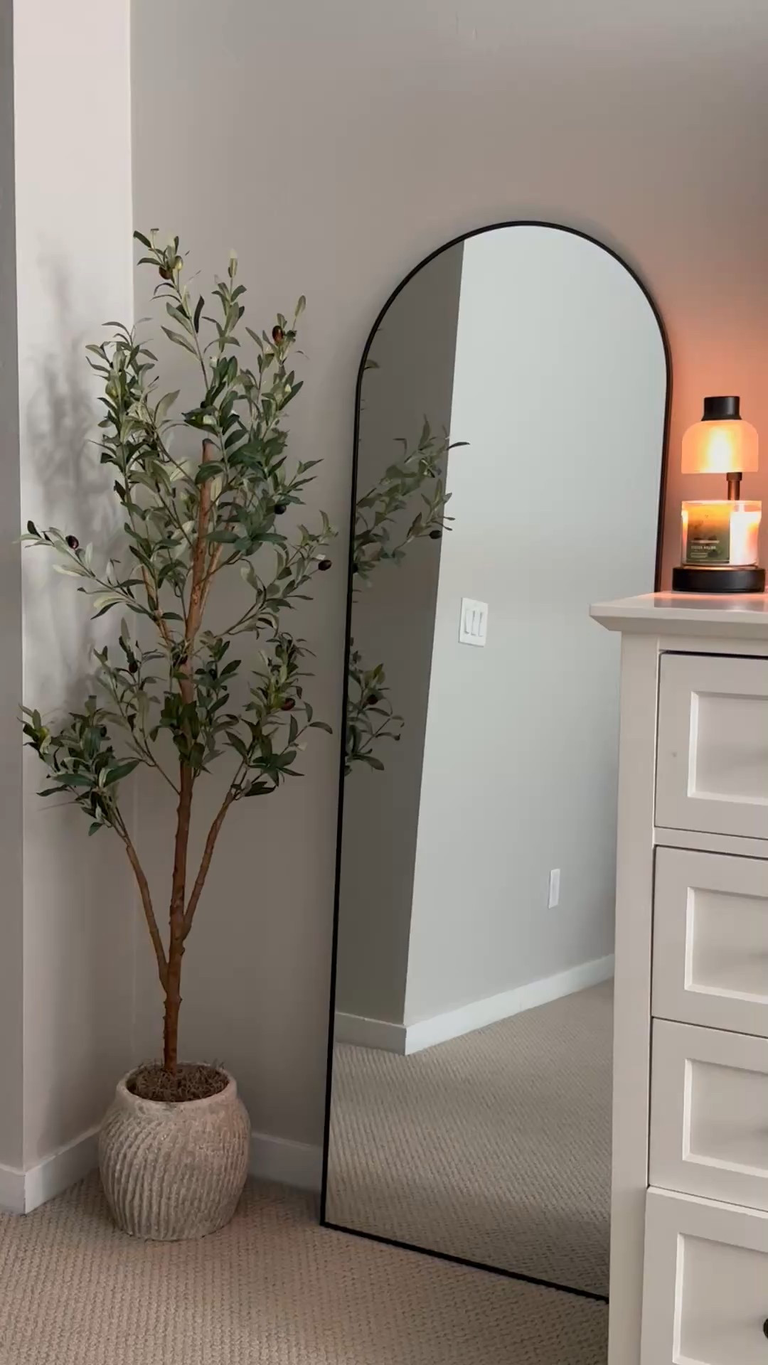Olive tree 

#LTKHome #LTKFindsUnder50 #LTKSeasonal