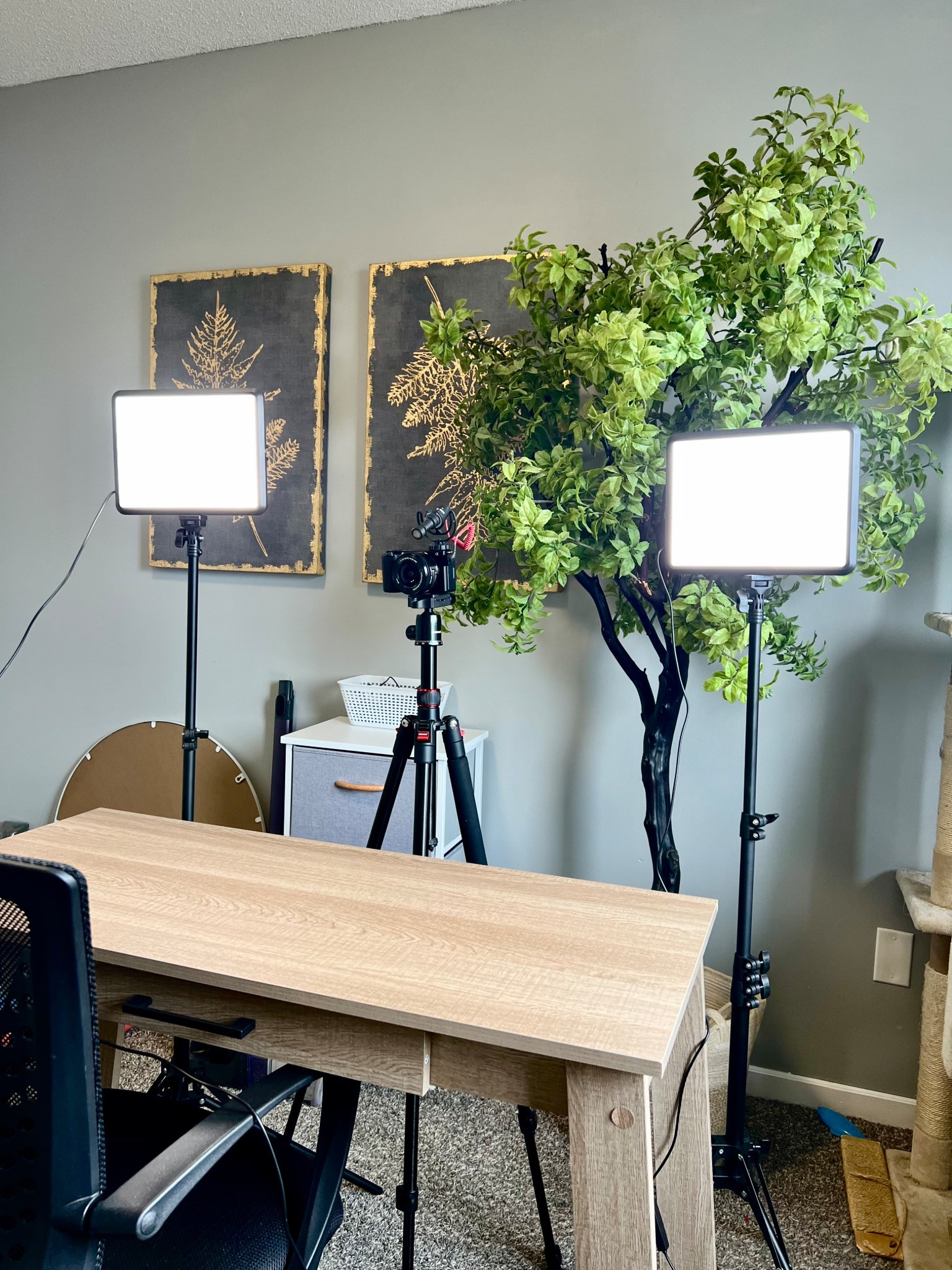 My filming setup! I’ve been loving my Sony ZV-e10 camera, and then I have my filler lights so even on cloudy days, I have the best lighting!
#photography #videography #contentcreator #camera

#LTKHome