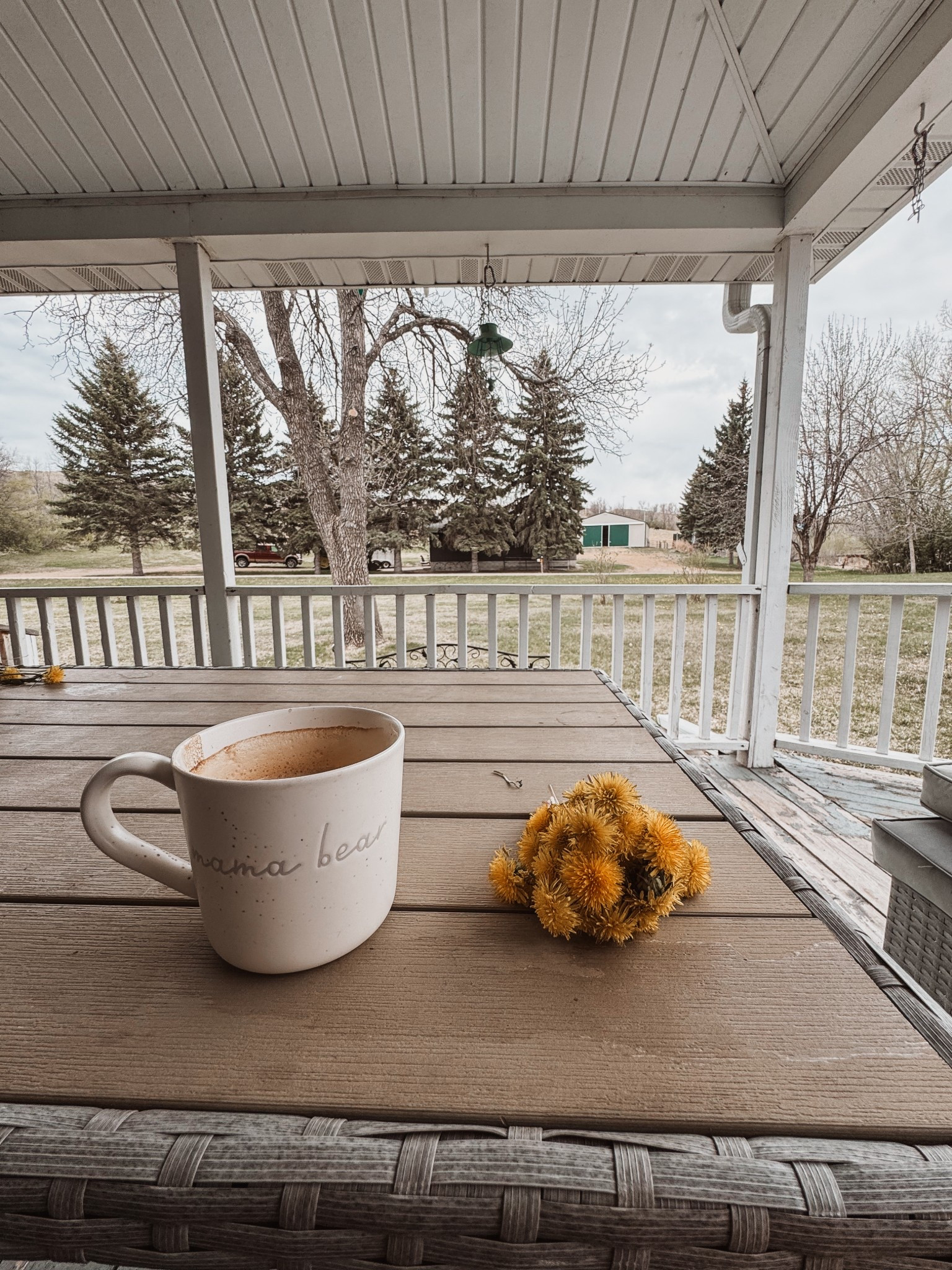 This mug and hand picked flowers 💛

#LTKHome #LTKFamily