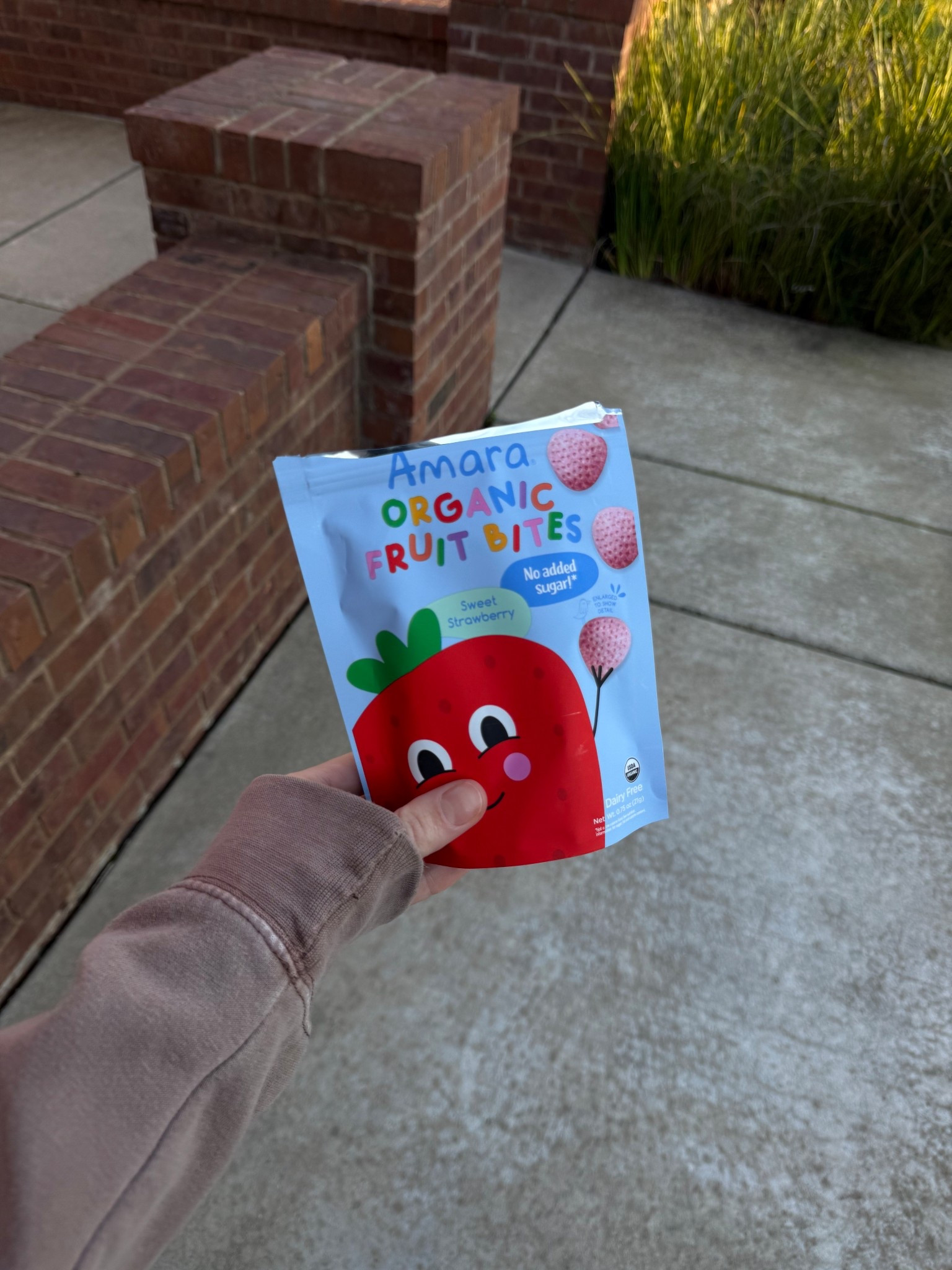 Harper’s new snack obsession! 🍓 no added sugars, also dairy free!