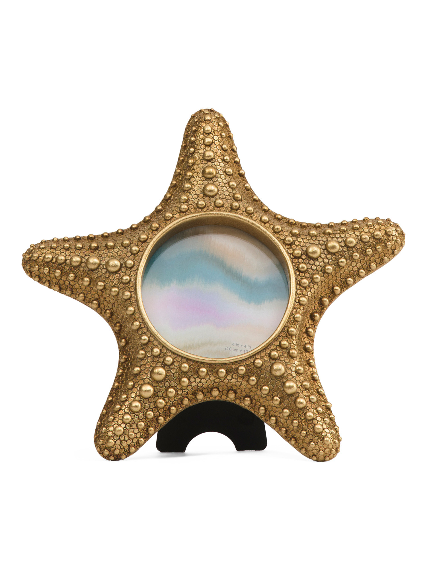 4x4 Sea Star Tabletop Picture Frame | TJ Maxx