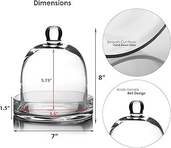 CYS EXCEL Glass Bell Dome Cloche with Glass Base (H:8" W:7") | Multiple Size Choices Terrarium Ja... | Amazon (US)