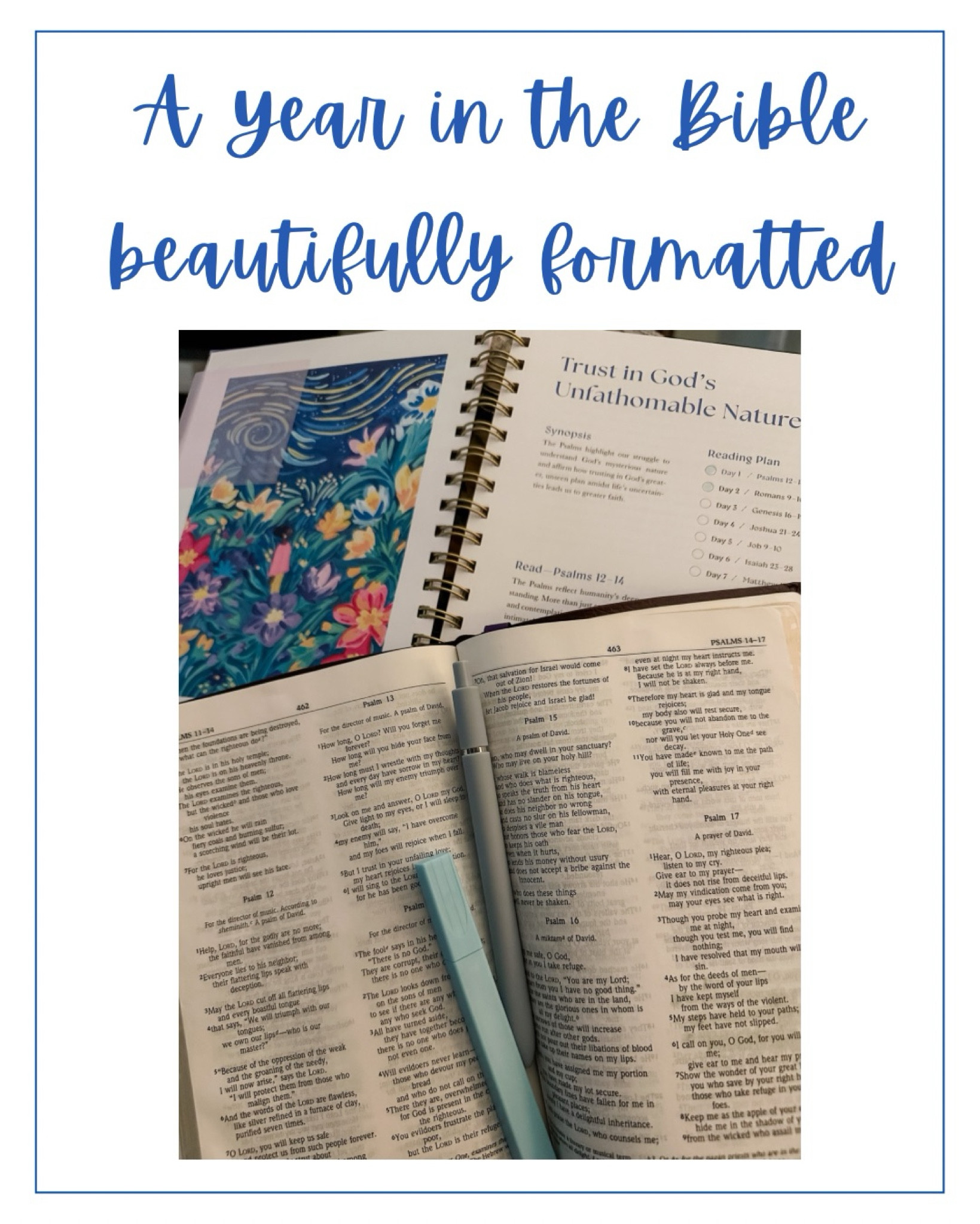 This year in the Bible study is beautifully formatted, can be started at any point in the year and keeps it manageable.  The readings each week have longer and shorter passages, new and Old Testament. 

#LTKFindsUnder100 #LTKFamily #LTKGiftGuide