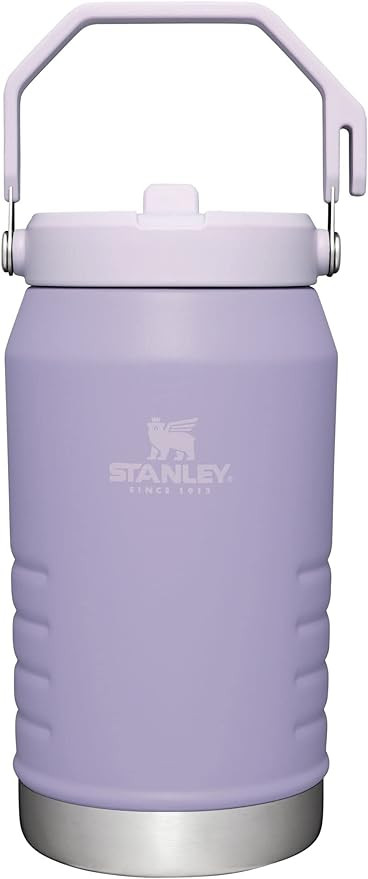 STANLEY IceFlow Stainless Steel Tumbler with Straw, Vacuum Insulated Water Bottle for Home, Offic... | Amazon (US)