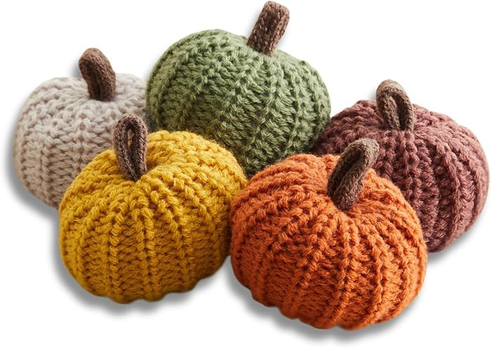 Mini Knit Pumpkins Set of 5, Fall D\u00e9cor (Autumn Set) | Amazon (US)