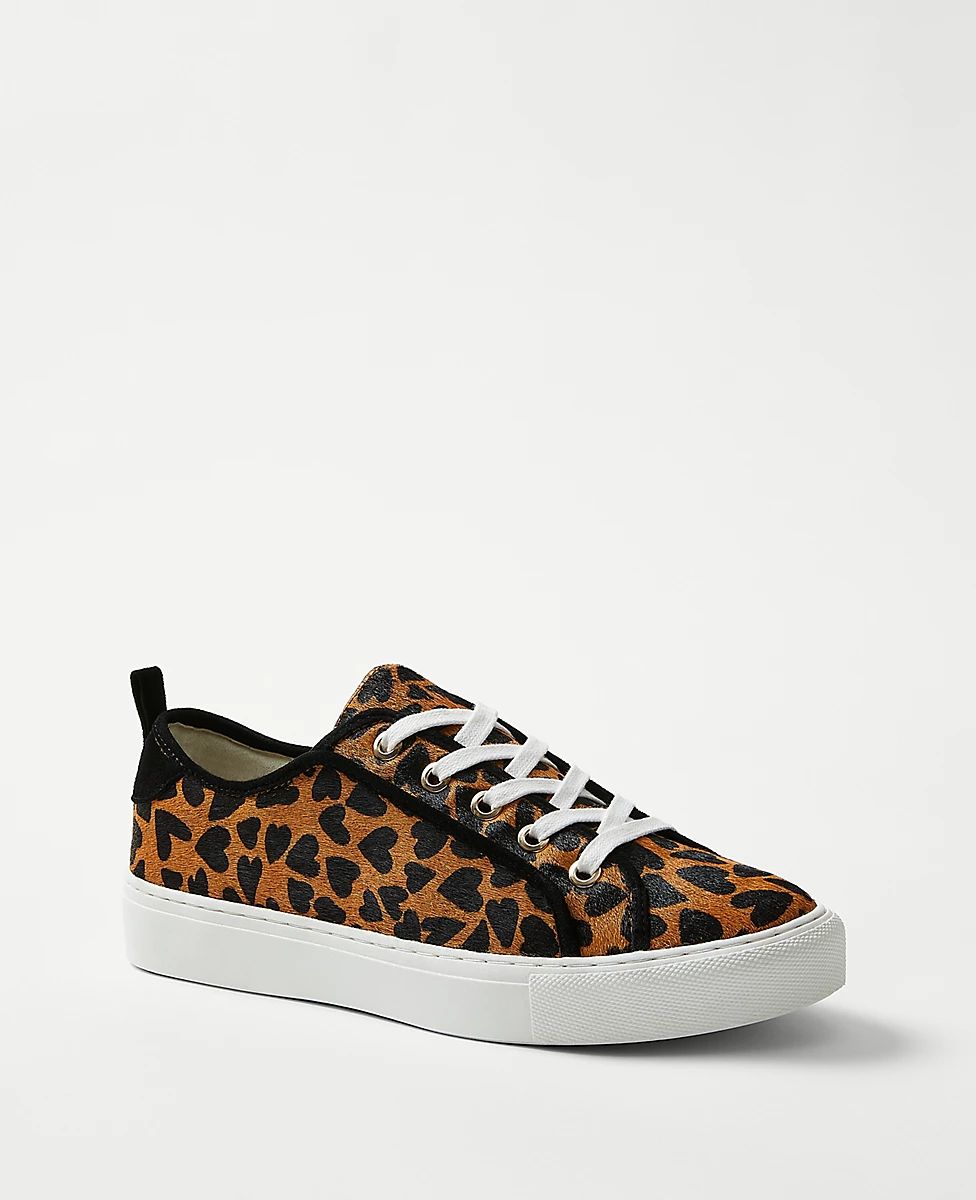 Haircalf Lace Up Sneakers | Ann Taylor (US)
