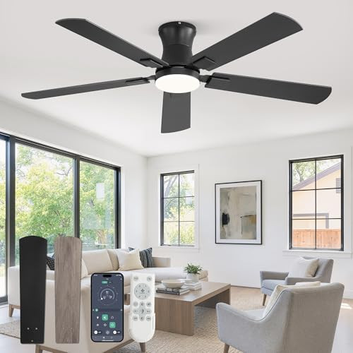 Fanbulous 52 inch ceiling fan with light, Low Profile Ceiling Fan with Light, App&Remote Control, Dimmable LED Light, Flush Mount Ceiling Fan for Indoor Bedroom Living Room, Qiuet DC Motor, Black | Amazon (US)