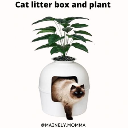 Cat litter box that is also great decoration and looks like a house plant 

#competition

#LTKsalealert #LTKfamily #LTKhome