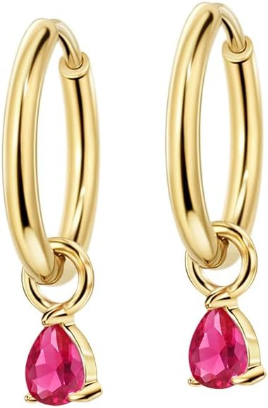 316L Surgical Steel Dangle Birthstone Hoop Earrings for Women | Amazon (US)