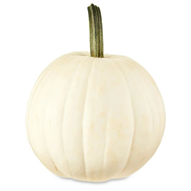 White Pumpkin - Walmart.com | Walmart (US)