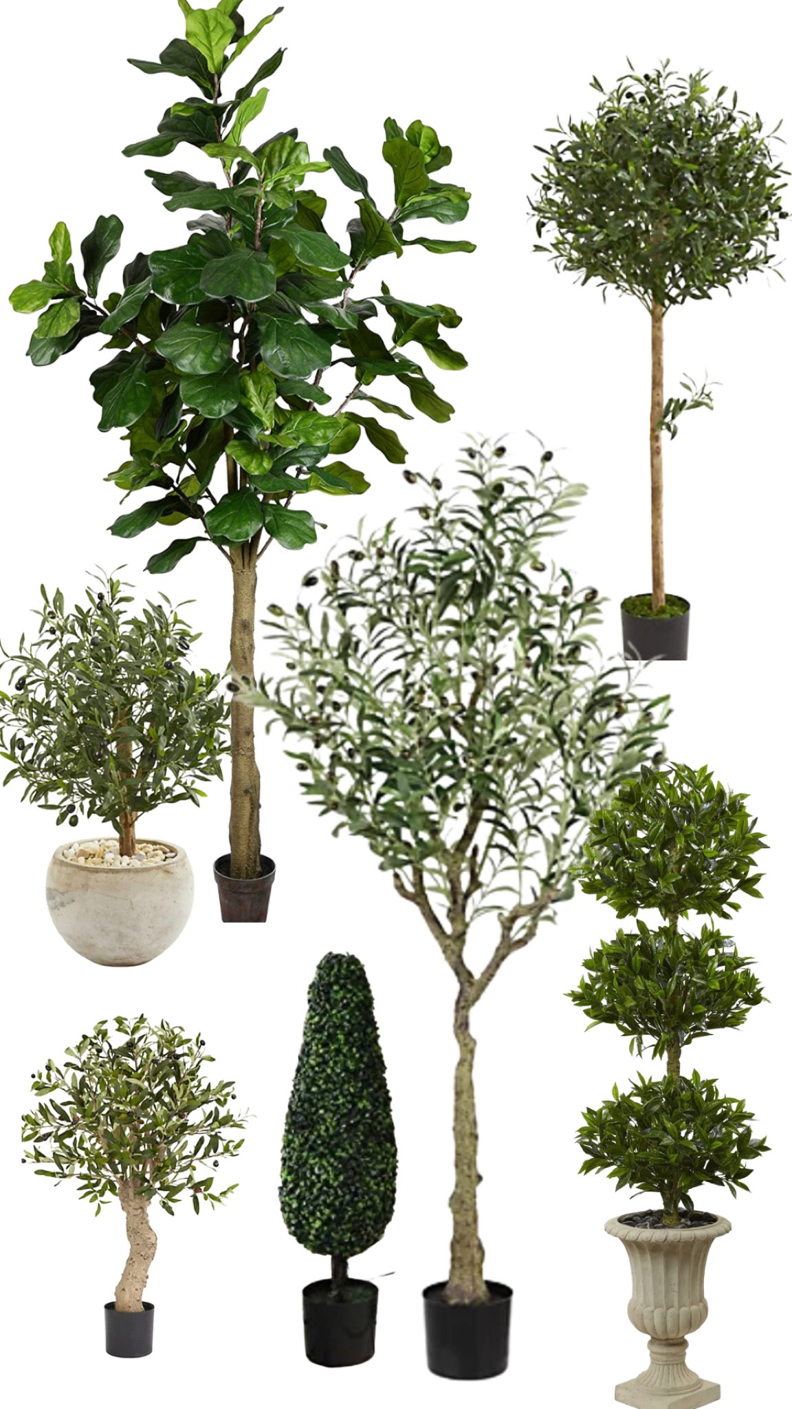 My favorite faux trees & topiaries 

#LTKGiftGuide #LTKsalealert #LTKhome
