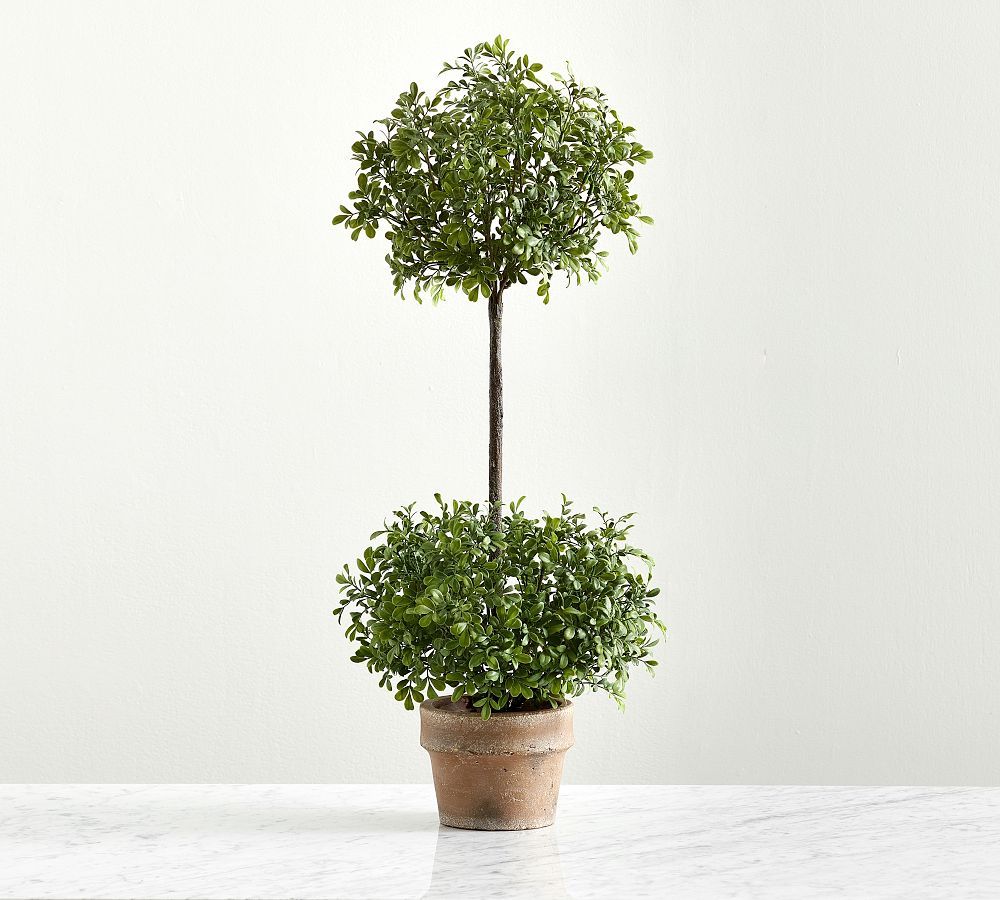 Faux Boxwood Topiary | Pottery Barn (US)