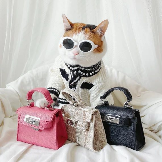 Mini Luxury Bag Purse Toy for Cat Dog Pet Kid Cloths Fashion - Etsy | Etsy (US)