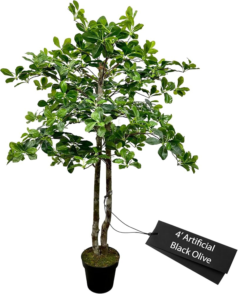 Cypress & Alabaster Handmade 4ft Italian Black Olive Leaf Artificial Tree with Ethically Sourced ... | Amazon (US)
