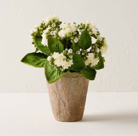 If you have a brown thumb like me, this faux potted flower is the perfect way to add a little greenery to your home without having to take care of it. 

#LTKsalealert #LTKhome #LTKSeasonal