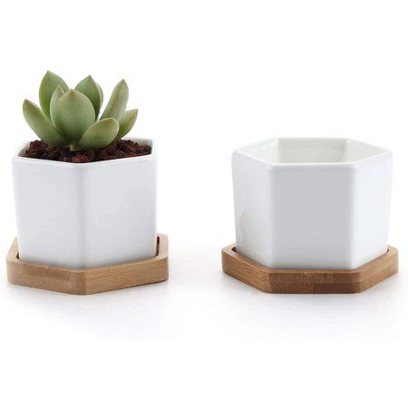 Succulent Plant Pots, 2.48 inch Mini Succulent Planter, White Ceramic Succulent Cactus Planter Pots  | Walmart (US)
