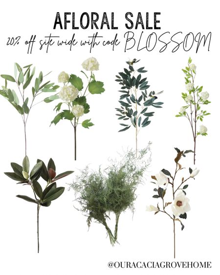 Afloral is having a 20% off site wide sale! These are the florals and stems I’m loving right now!

#LTKhome #LTKsalealert #LTKSeasonal