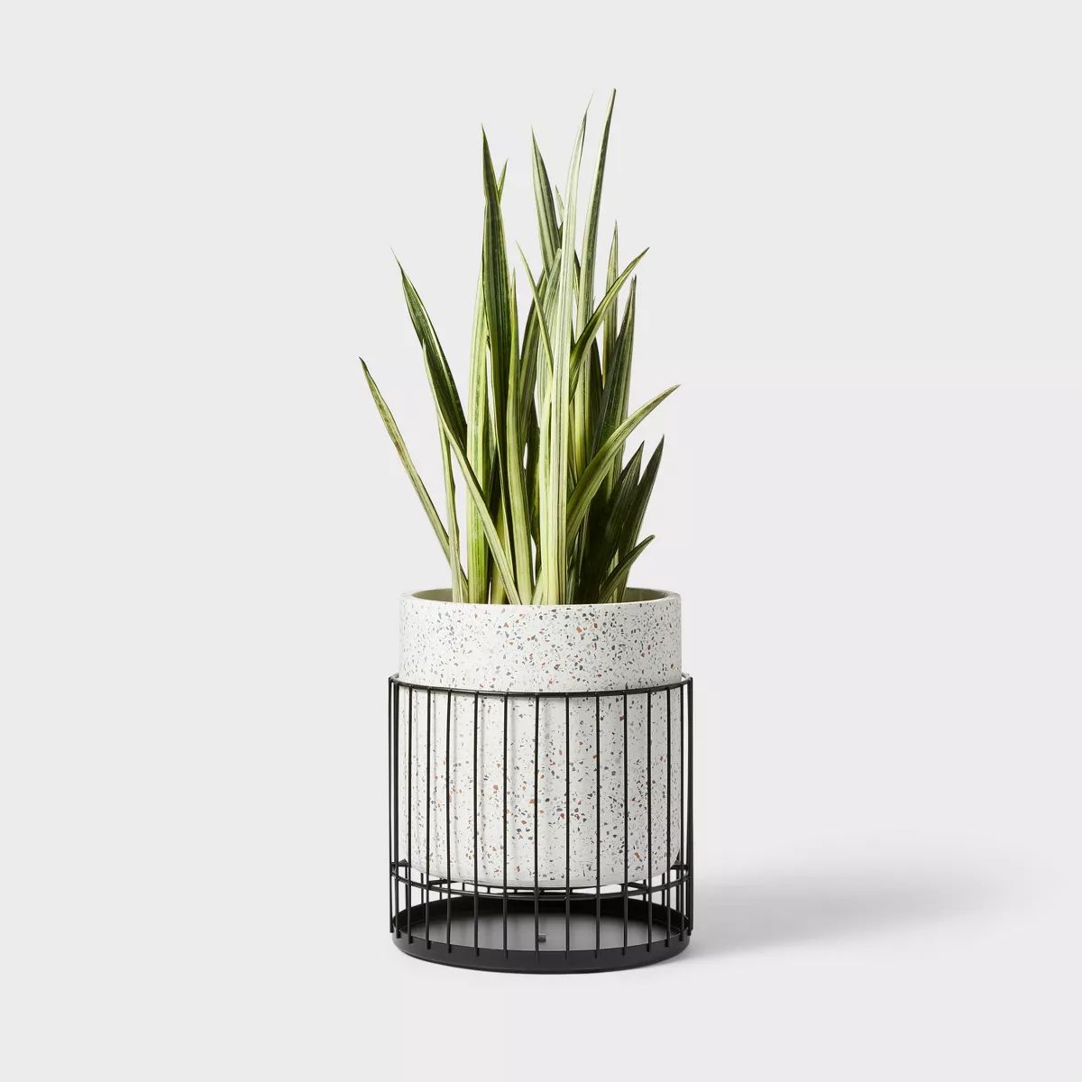 Hilton Carter for Target with Metal Stand Indoor Outdoor Planter | Target