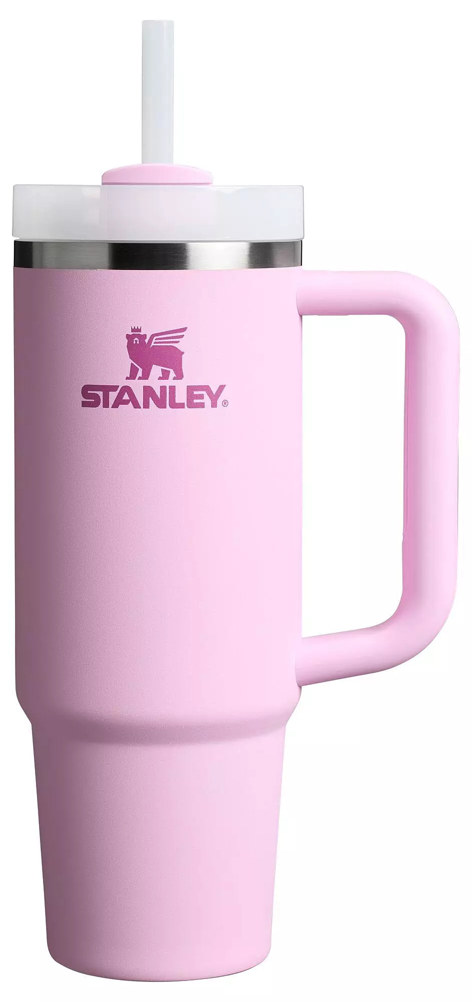 Stanley 30 oz. Quencher H2.0 FlowState Tumbler | DICK'S Sporting Goods