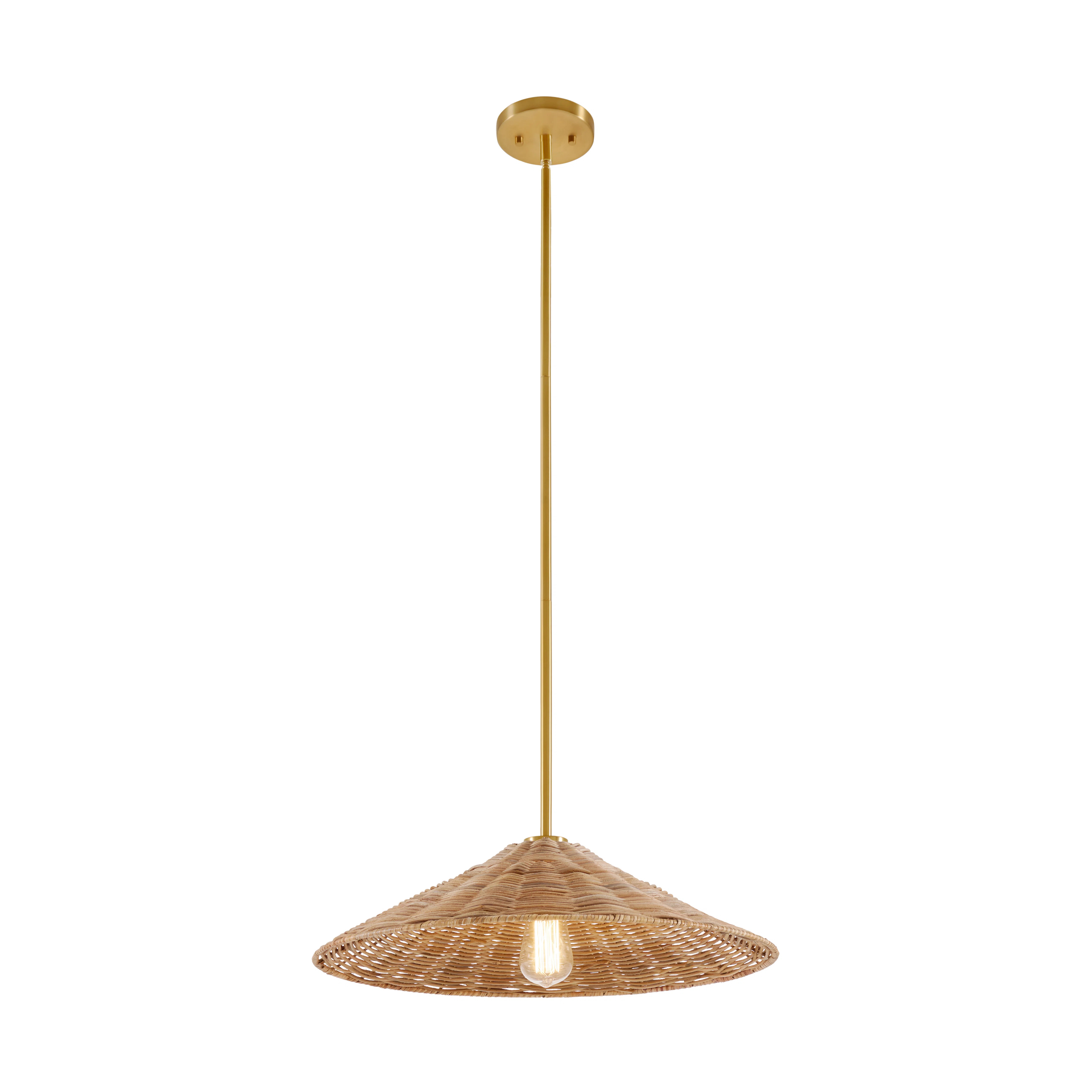 Meridian 1-Light Millom in Natural Brass | Wayfair North America