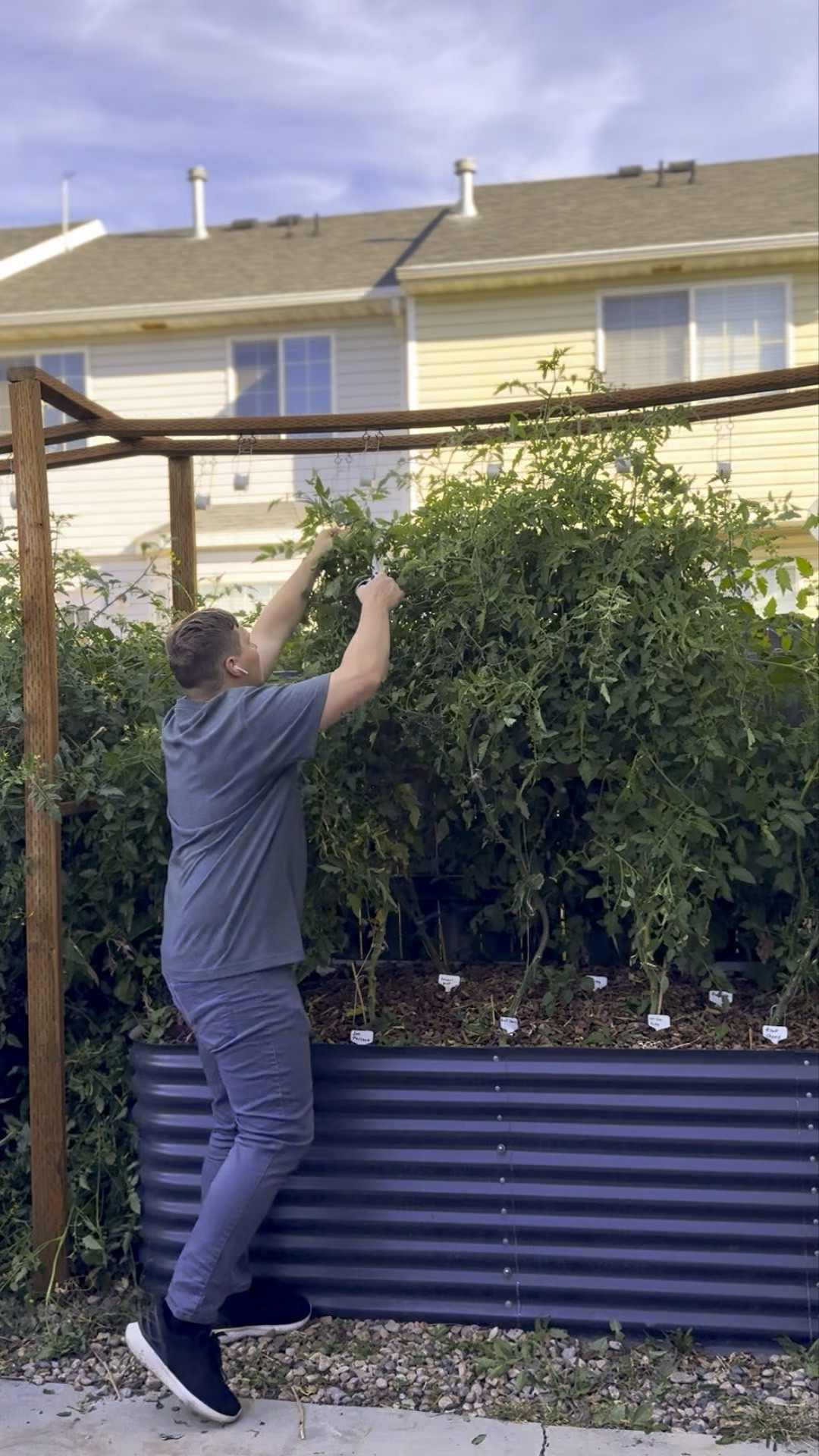My favorite gardening products that elevated my garden and got me an amazing harvest!

#LTKHome