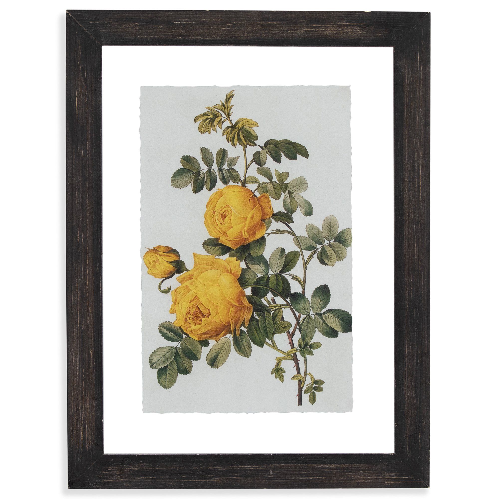 Vintage Yellow Roses Floating Black II 12"x16.5" Frame by Drew Barrymore Flower Home | Walmart (US)