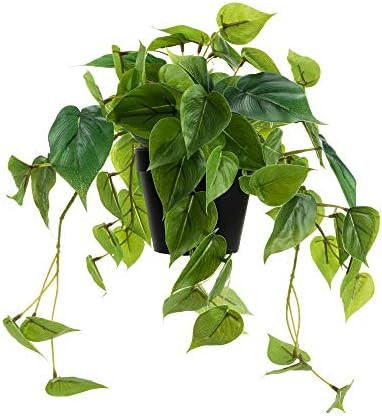 LuckyGreenery Artificial Scindapsus Aureus, Realistic Fake Plant with Plastic Pot for Home Office... | Amazon (US)