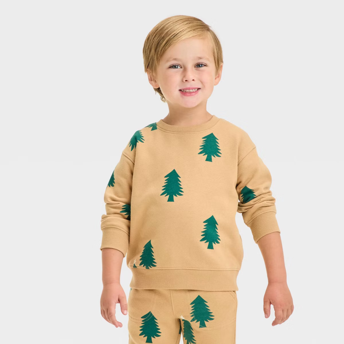 Toddler Boys' Printed Crewneck Sweatshirt - Cat & Jack™ | Target