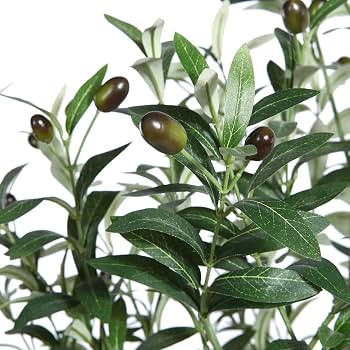 Dr.Planzen Artificial Olive Tree,5FT Tall Fake Plant Faux Olive Plants for Indoor,Natural Fake Tr... | Amazon (US)
