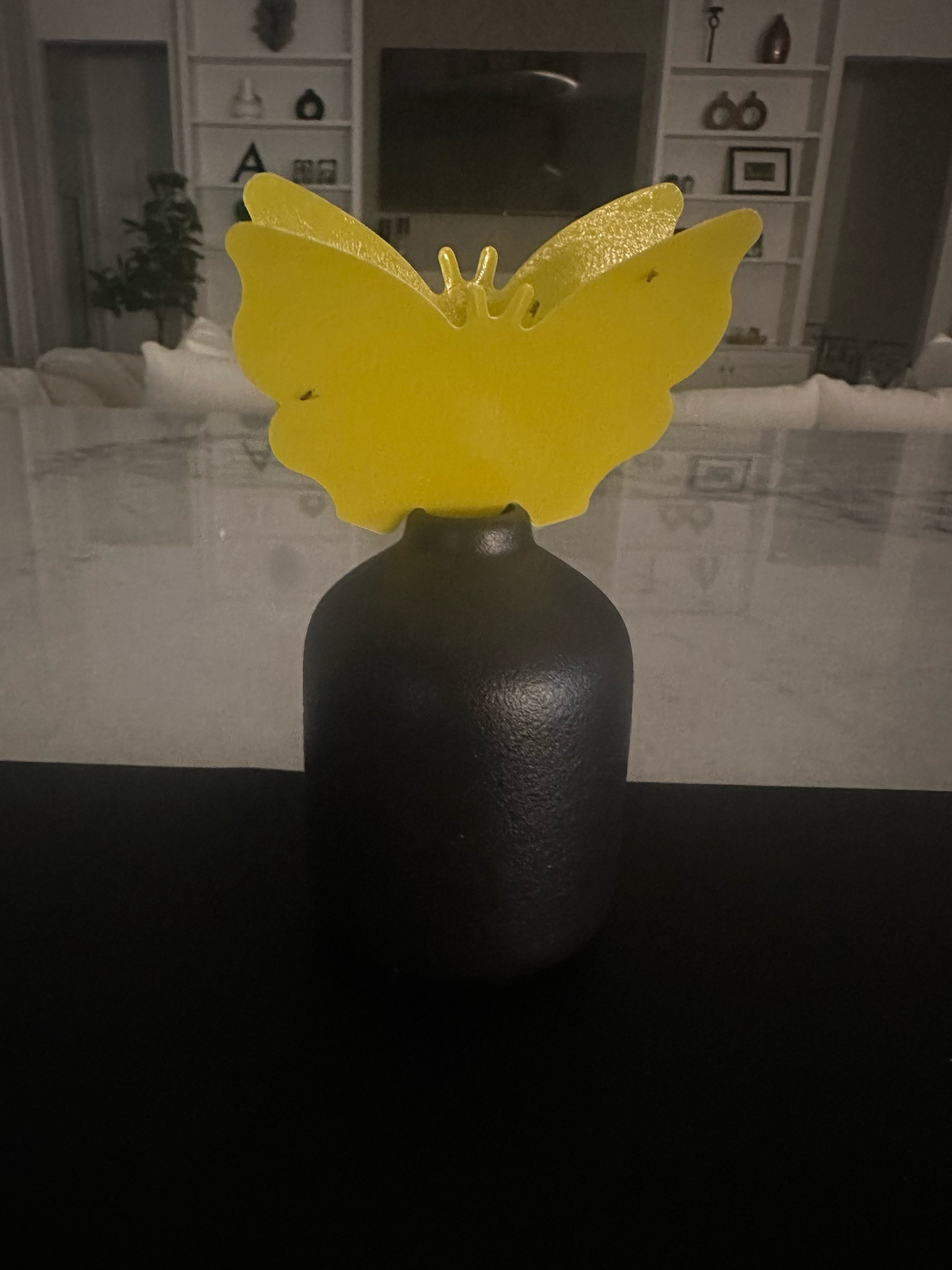 Fruit fly and knat catcher 

#LTKFindsUnder50