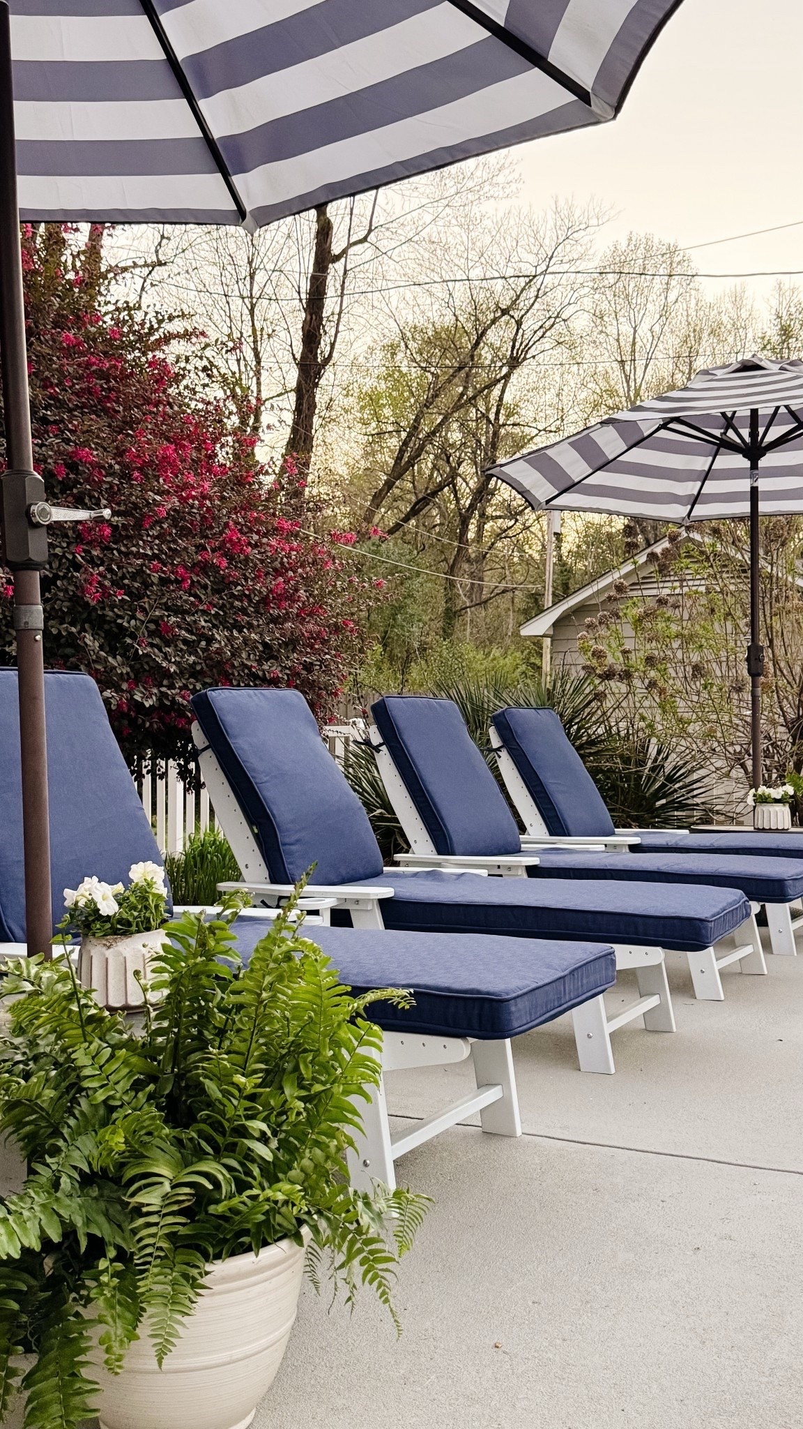 $85 Amazon umbrellas 😍 

Patio lounger, lounge chair, pool chairs, backyard, poolside 